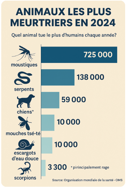 Infographie : animaux les plus meurtriers en 2024