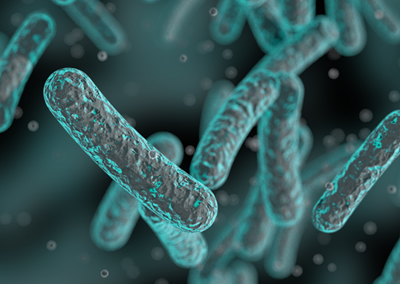 Nuisance - Microbes et bacteries